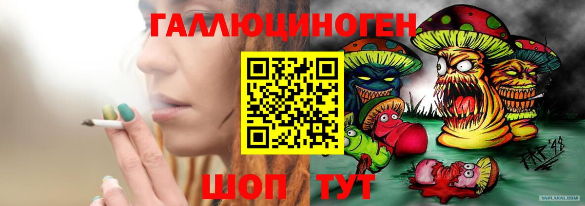 Псилоцибиновые грибы мицелий  Вход с VPN  Отрадный  Галлюциногенные грибы мицелий 